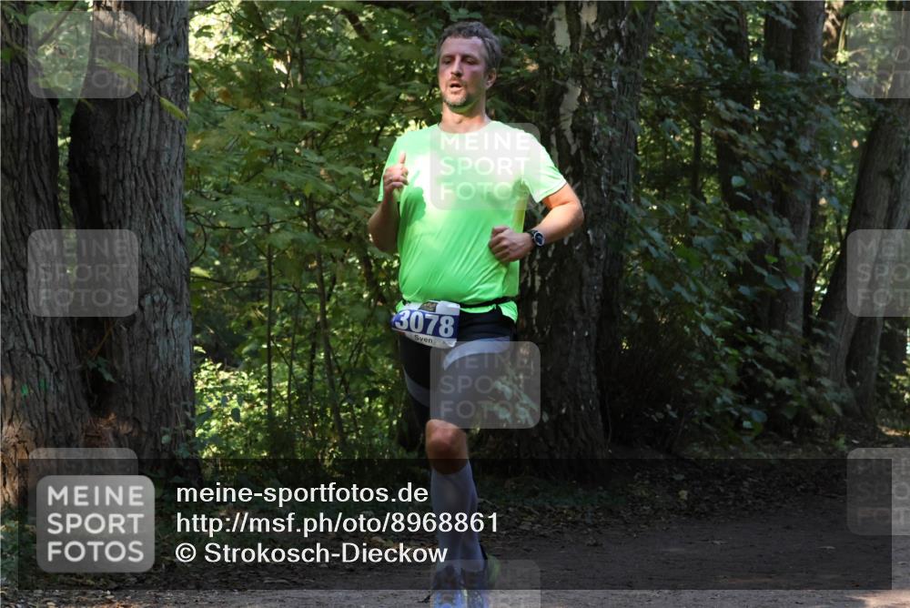 28.09.2025 - 33. Volkslauf durch das schöne Alstertal Strokosch-Dieckow http://msf.ph/oto/8968861 28.09.2025 11:17:33 Laufen 3078 meine-sportfotos.de