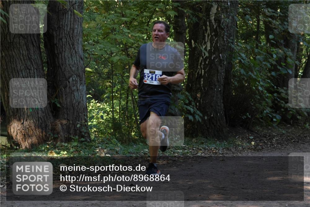 28.09.2025 - 33. Volkslauf durch das schöne Alstertal Strokosch-Dieckow http://msf.ph/oto/8968864 28.09.2025 11:17:49 Laufen 3219 meine-sportfotos.de