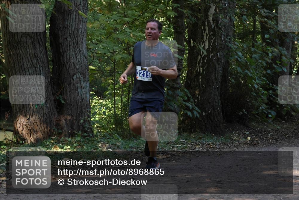 28.09.2025 - 33. Volkslauf durch das schöne Alstertal Strokosch-Dieckow http://msf.ph/oto/8968865 28.09.2025 11:17:49 Laufen 3219 meine-sportfotos.de