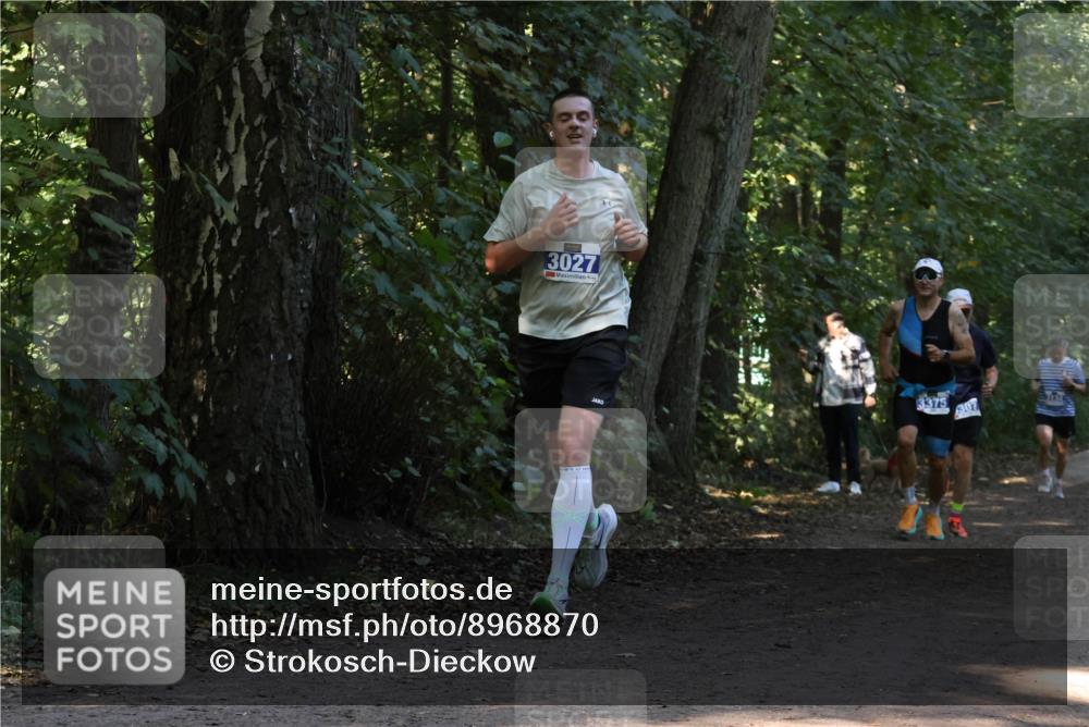 28.09.2025 - 33. Volkslauf durch das schöne Alstertal Strokosch-Dieckow http://msf.ph/oto/8968870 28.09.2025 11:17:53 Laufen 3027, 3375, 307 meine-sportfotos.de