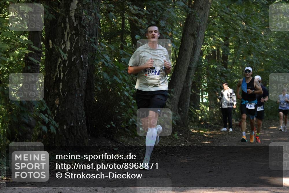 28.09.2025 - 33. Volkslauf durch das schöne Alstertal Strokosch-Dieckow http://msf.ph/oto/8968871 28.09.2025 11:17:53 Laufen 3027, 3375, 307 meine-sportfotos.de