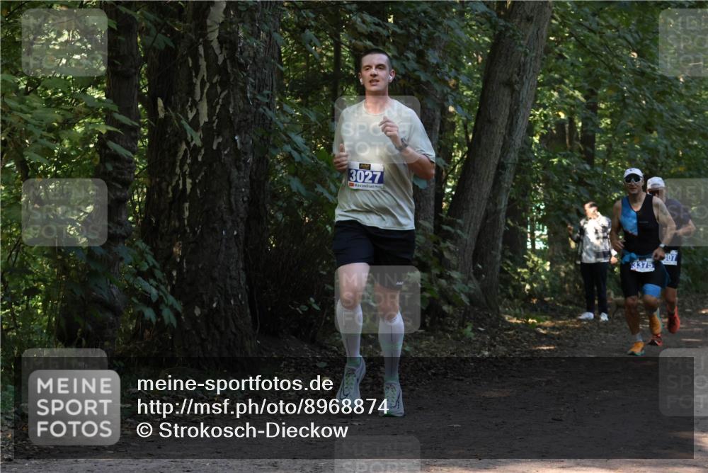 28.09.2025 - 33. Volkslauf durch das schöne Alstertal Strokosch-Dieckow http://msf.ph/oto/8968874 28.09.2025 11:17:53 Laufen 3027, 307, 3375 meine-sportfotos.de