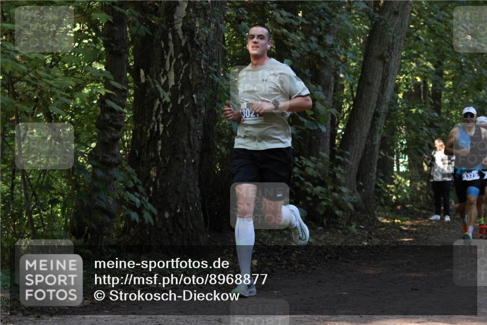 28.09.2025 - 33. Volkslauf durch das schöne Alstertal Strokosch-Dieckow http://msf.ph/oto/8968877 28.09.2025 11:17:54 Laufen 302, 3375 meine-sportfotos.de