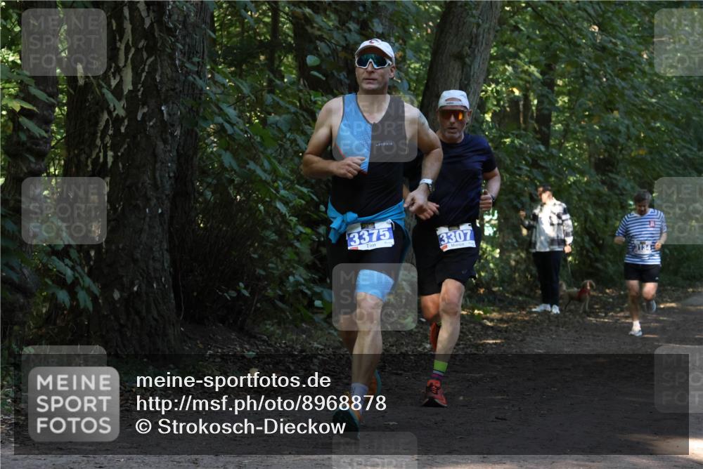 28.09.2025 - 33. Volkslauf durch das schöne Alstertal Strokosch-Dieckow http://msf.ph/oto/8968878 28.09.2025 11:17:57 Laufen 3375, 3307 meine-sportfotos.de