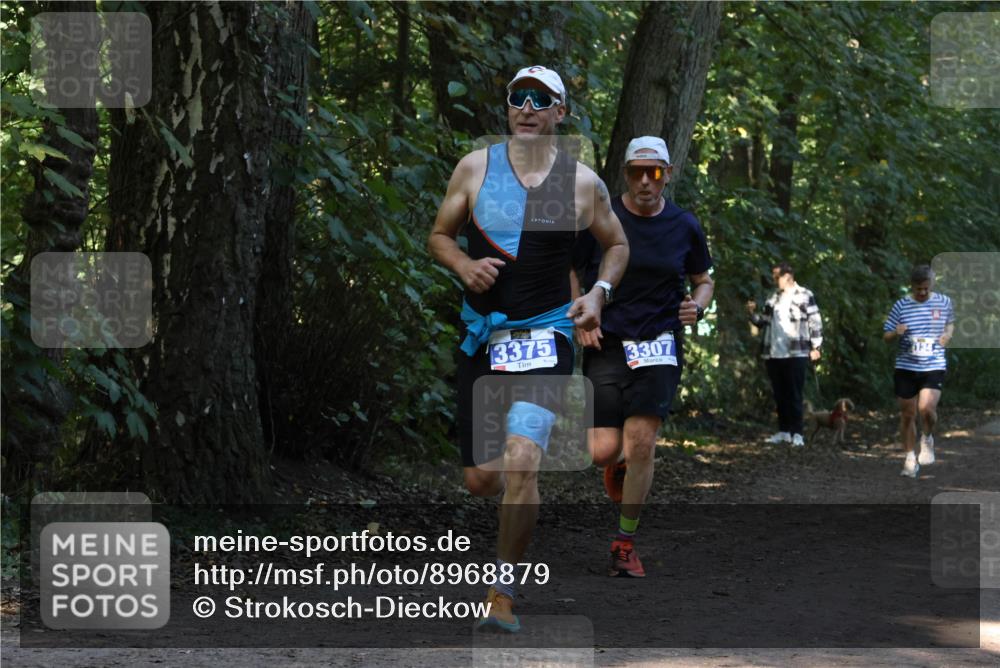 28.09.2025 - 33. Volkslauf durch das schöne Alstertal Strokosch-Dieckow http://msf.ph/oto/8968879 28.09.2025 11:17:57 Laufen 3375, 3307 meine-sportfotos.de