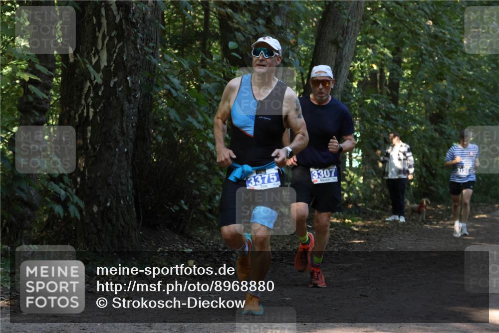 28.09.2025 - 33. Volkslauf durch das schöne Alstertal Strokosch-Dieckow http://msf.ph/oto/8968880 28.09.2025 11:17:57 Laufen 3375, 3307 meine-sportfotos.de