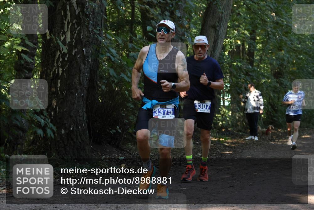 28.09.2025 - 33. Volkslauf durch das schöne Alstertal Strokosch-Dieckow http://msf.ph/oto/8968881 28.09.2025 11:17:57 Laufen 3375, 3307, 3134 meine-sportfotos.de