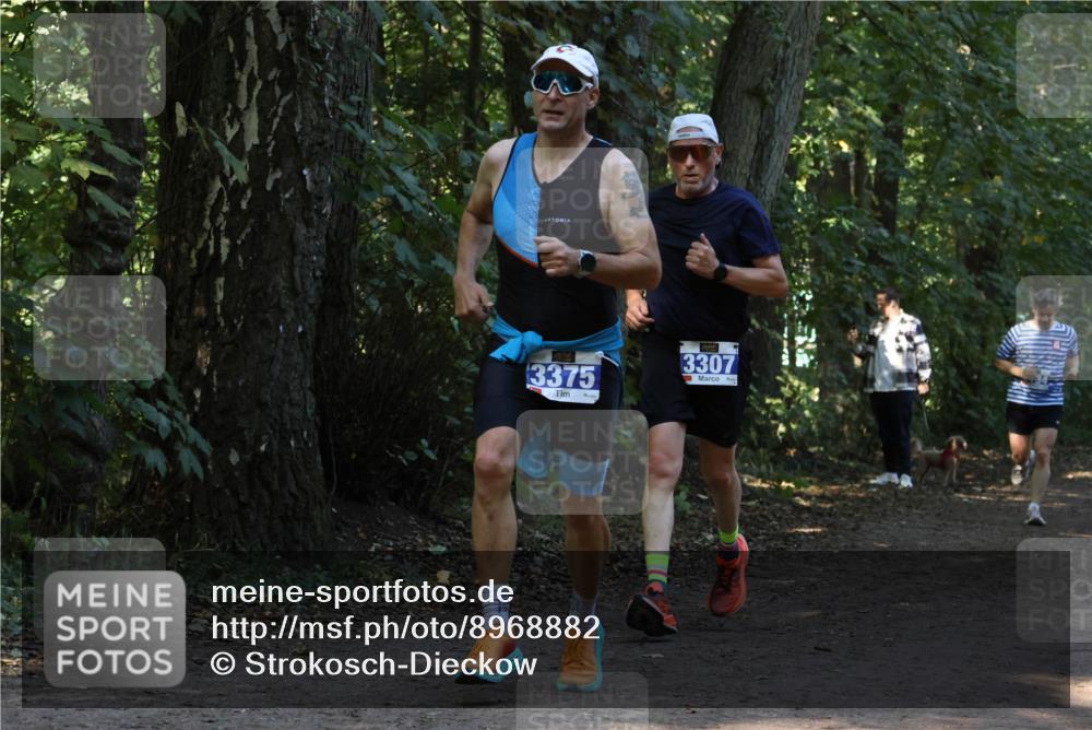 28.09.2025 - 33. Volkslauf durch das schöne Alstertal Strokosch-Dieckow http://msf.ph/oto/8968882 28.09.2025 11:17:57 Laufen 3375, 3307 meine-sportfotos.de