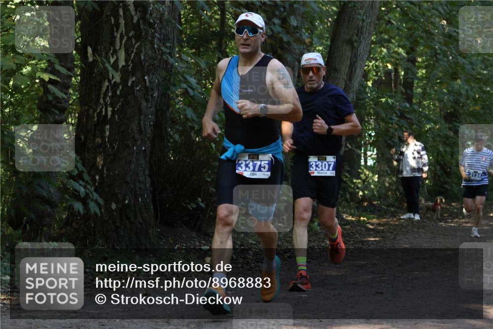 28.09.2025 - 33. Volkslauf durch das schöne Alstertal Strokosch-Dieckow http://msf.ph/oto/8968883 28.09.2025 11:17:57 Laufen 3375, 3307, 3134 meine-sportfotos.de