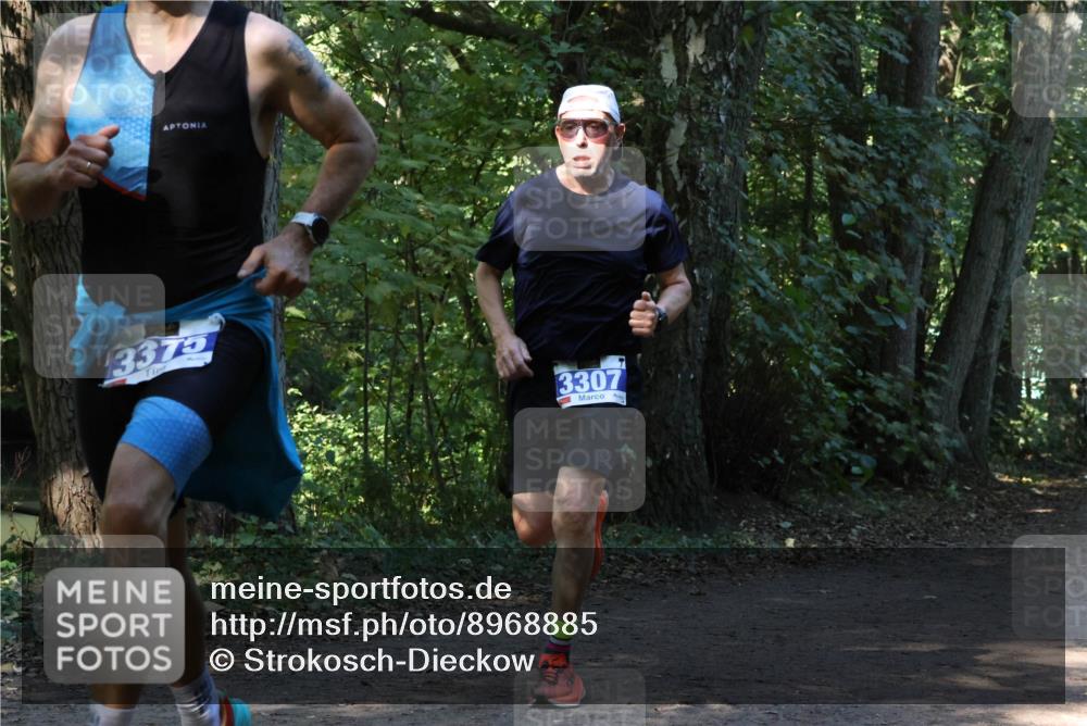 28.09.2025 - 33. Volkslauf durch das schöne Alstertal Strokosch-Dieckow http://msf.ph/oto/8968885 28.09.2025 11:17:59 Laufen 3375, 3307 meine-sportfotos.de