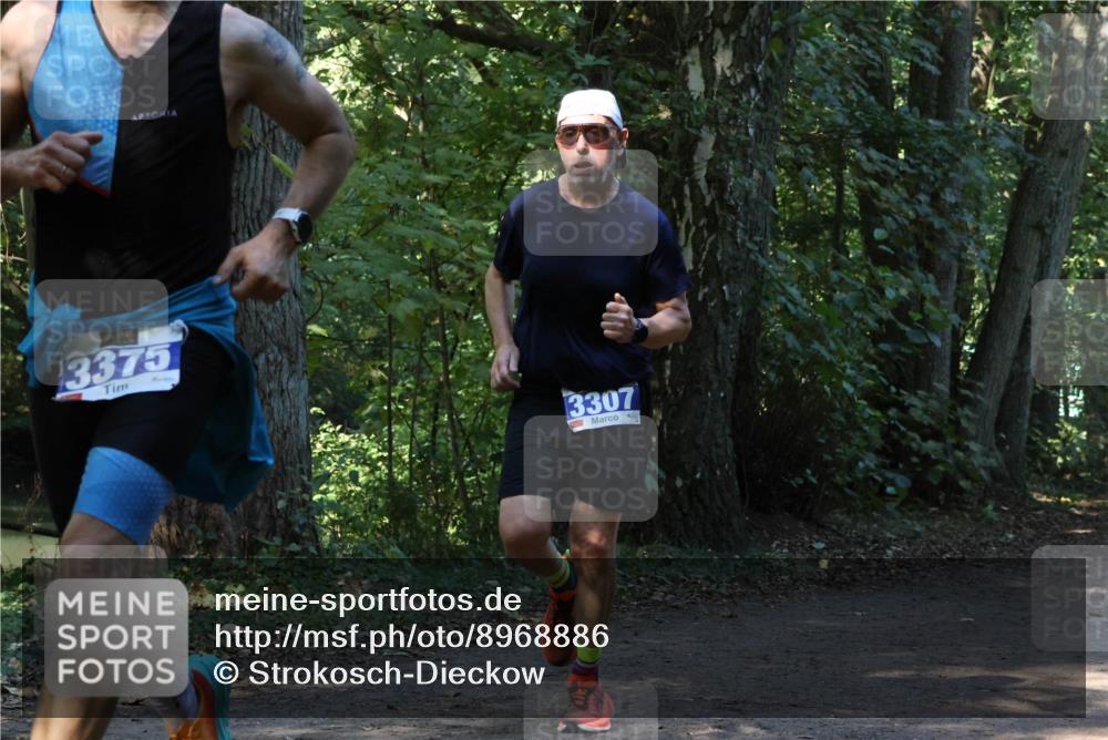 28.09.2025 - 33. Volkslauf durch das schöne Alstertal Strokosch-Dieckow http://msf.ph/oto/8968886 28.09.2025 11:17:59 Laufen 427, 3375, 3307 meine-sportfotos.de