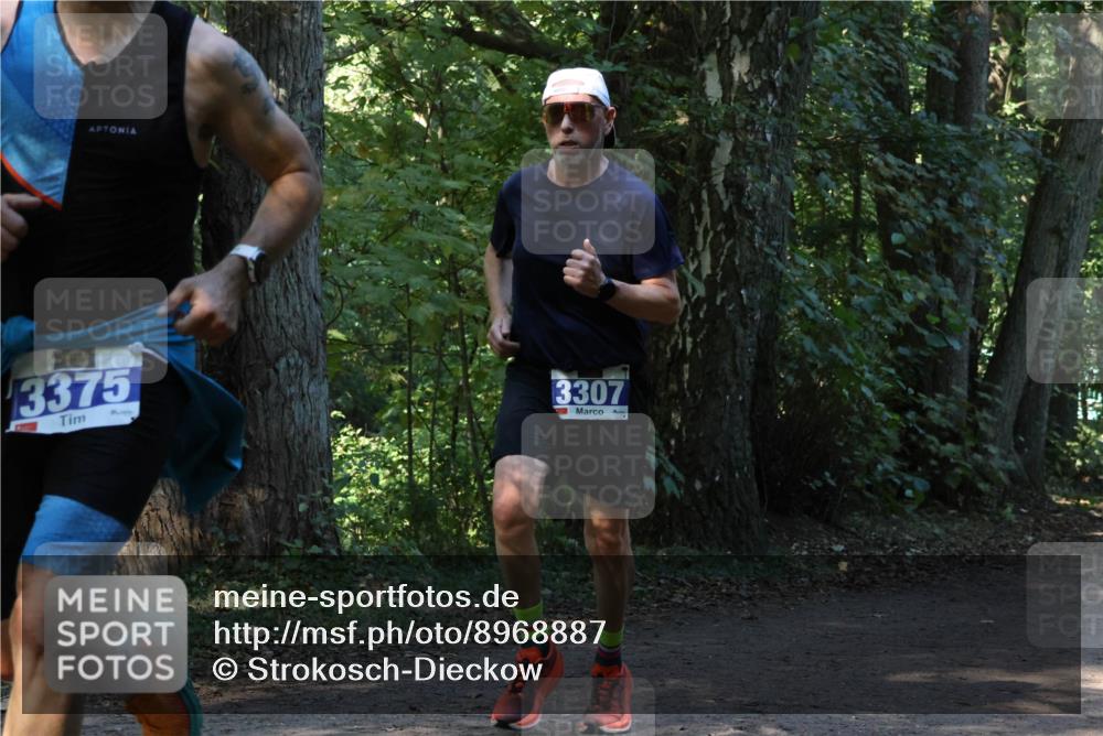 28.09.2025 - 33. Volkslauf durch das schöne Alstertal Strokosch-Dieckow http://msf.ph/oto/8968887 28.09.2025 11:17:59 Laufen 74, 3375, 3307 meine-sportfotos.de