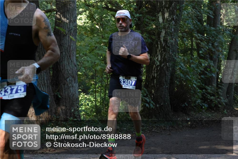28.09.2025 - 33. Volkslauf durch das schöne Alstertal Strokosch-Dieckow http://msf.ph/oto/8968888 28.09.2025 11:17:59 Laufen 3375, 3307 meine-sportfotos.de