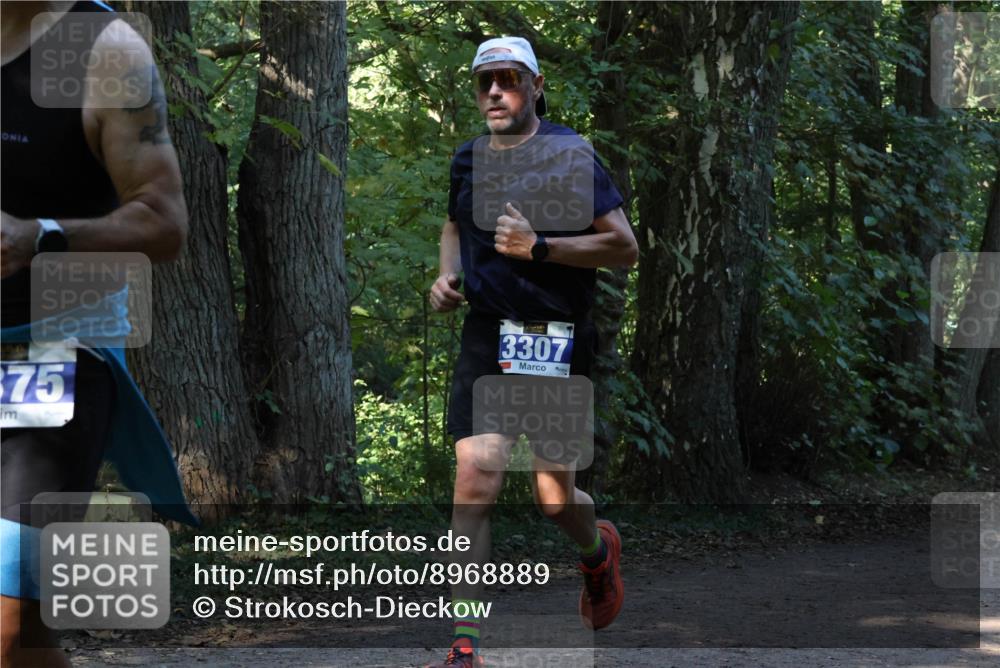 28.09.2025 - 33. Volkslauf durch das schöne Alstertal Strokosch-Dieckow http://msf.ph/oto/8968889 28.09.2025 11:17:59 Laufen 75, 3307 meine-sportfotos.de