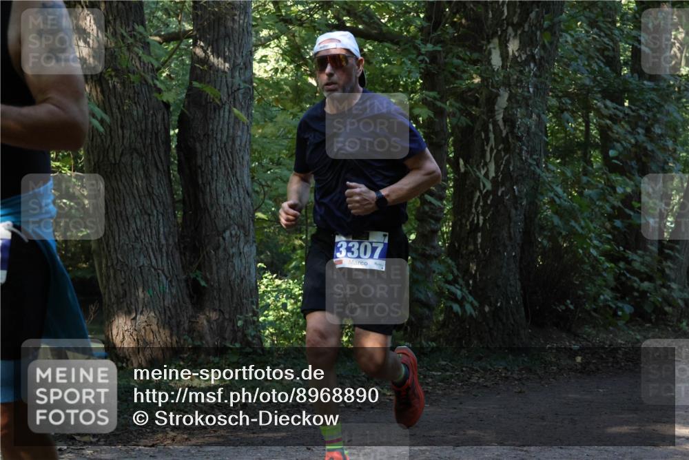 28.09.2025 - 33. Volkslauf durch das schöne Alstertal Strokosch-Dieckow http://msf.ph/oto/8968890 28.09.2025 11:17:59 Laufen 3307 meine-sportfotos.de