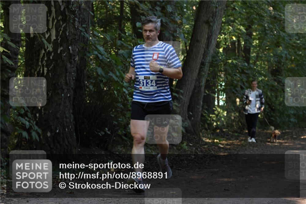 28.09.2025 - 33. Volkslauf durch das schöne Alstertal Strokosch-Dieckow http://msf.ph/oto/8968891 28.09.2025 11:18:02 Laufen 3134 meine-sportfotos.de