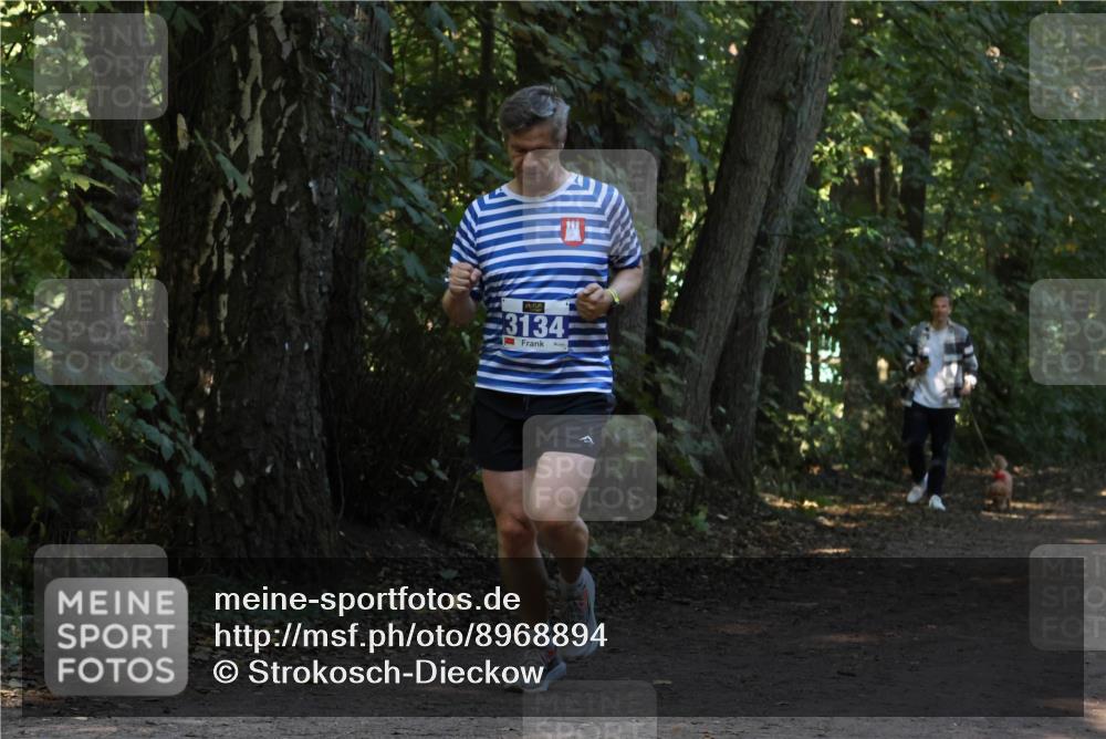 28.09.2025 - 33. Volkslauf durch das schöne Alstertal Strokosch-Dieckow http://msf.ph/oto/8968894 28.09.2025 11:18:03 Laufen 3134 meine-sportfotos.de