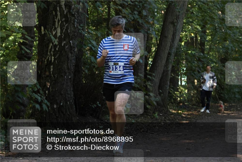28.09.2025 - 33. Volkslauf durch das schöne Alstertal Strokosch-Dieckow http://msf.ph/oto/8968895 28.09.2025 11:18:03 Laufen 3134 meine-sportfotos.de