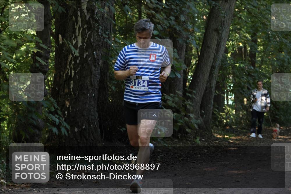 28.09.2025 - 33. Volkslauf durch das schöne Alstertal Strokosch-Dieckow http://msf.ph/oto/8968897 28.09.2025 11:18:03 Laufen 3134 meine-sportfotos.de