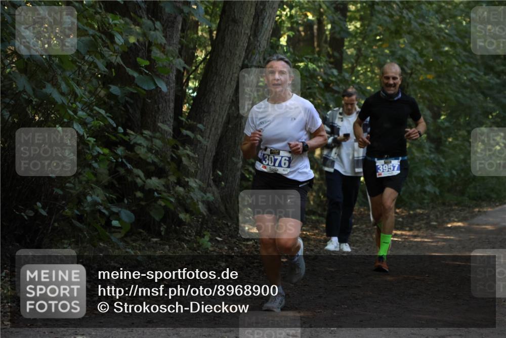 28.09.2025 - 33. Volkslauf durch das schöne Alstertal Strokosch-Dieckow http://msf.ph/oto/8968900 28.09.2025 11:18:11 Laufen 3076, 3957 meine-sportfotos.de
