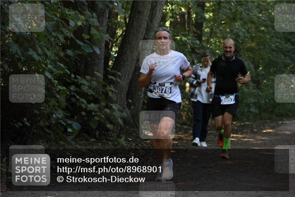 28.09.2025 - 33. Volkslauf durch das schöne Alstertal Strokosch-Dieckow http://msf.ph/oto/8968901 28.09.2025 11:18:11 Laufen 3076, 3957 meine-sportfotos.de