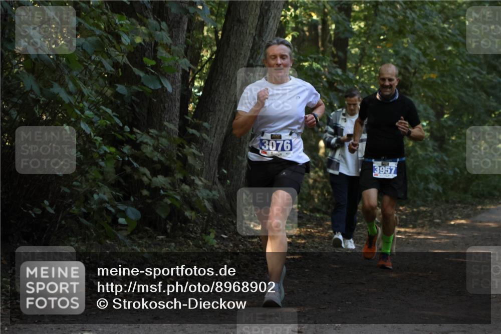 28.09.2025 - 33. Volkslauf durch das schöne Alstertal Strokosch-Dieckow http://msf.ph/oto/8968902 28.09.2025 11:18:11 Laufen 3076, 3957 meine-sportfotos.de