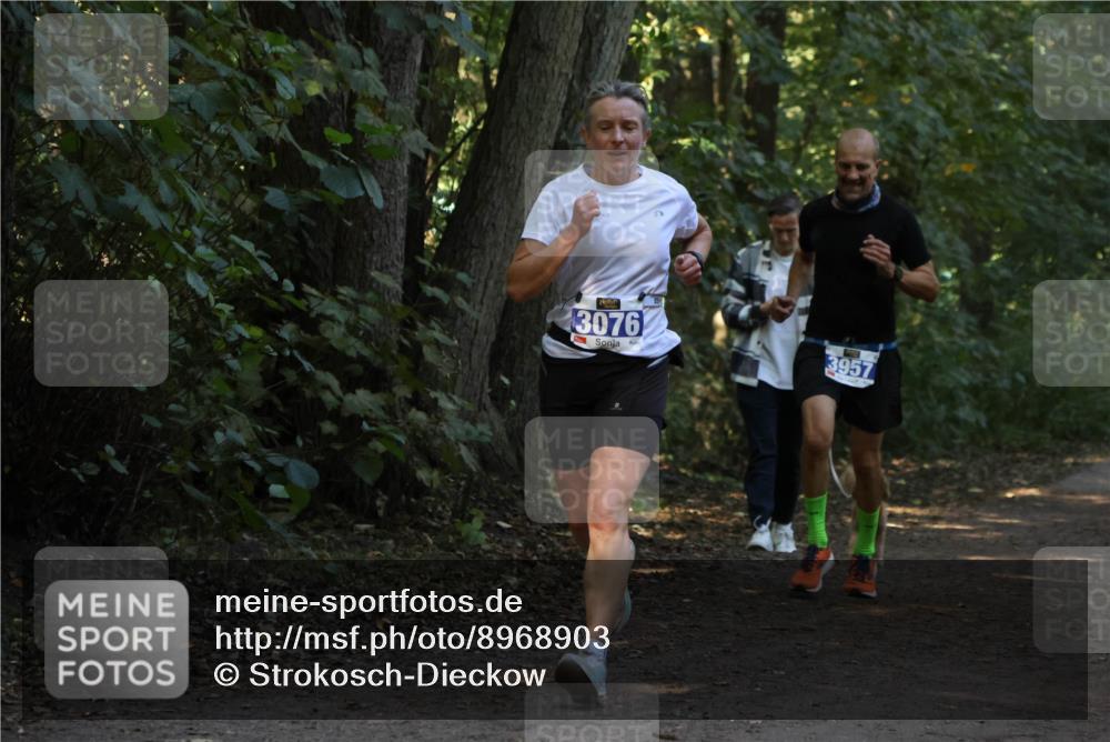 28.09.2025 - 33. Volkslauf durch das schöne Alstertal Strokosch-Dieckow http://msf.ph/oto/8968903 28.09.2025 11:18:11 Laufen 3076, 3957 meine-sportfotos.de