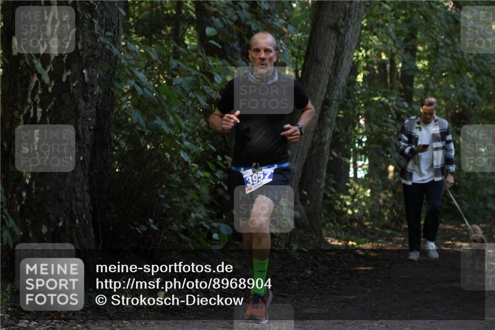 28.09.2025 - 33. Volkslauf durch das schöne Alstertal Strokosch-Dieckow http://msf.ph/oto/8968904 28.09.2025 11:18:14 Laufen 3957 meine-sportfotos.de