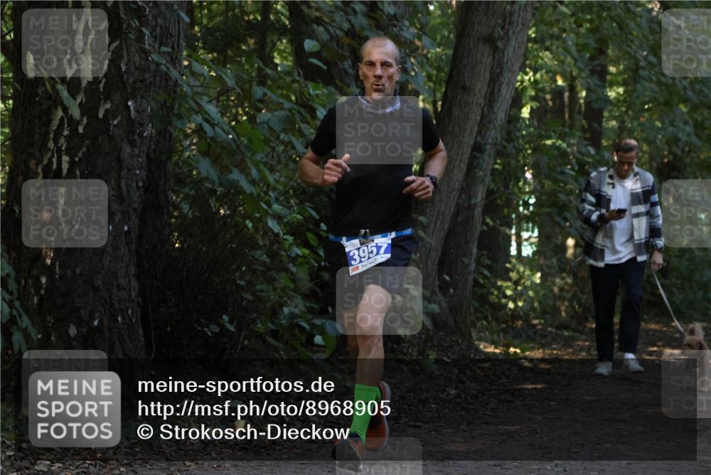 28.09.2025 - 33. Volkslauf durch das schöne Alstertal Strokosch-Dieckow http://msf.ph/oto/8968905 28.09.2025 11:18:14 Laufen 3957 meine-sportfotos.de