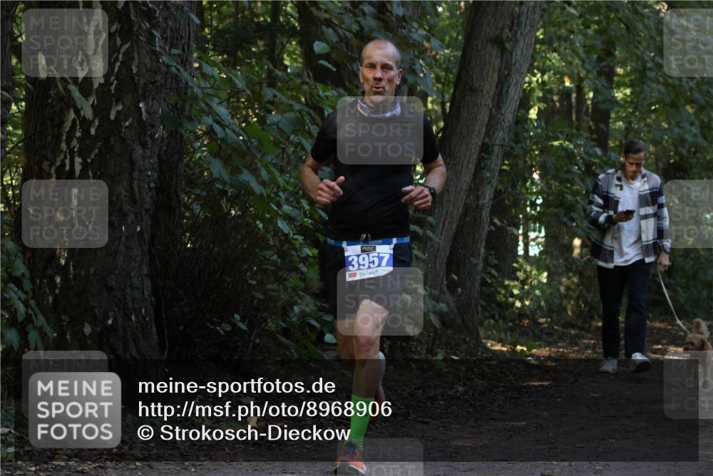28.09.2025 - 33. Volkslauf durch das schöne Alstertal Strokosch-Dieckow http://msf.ph/oto/8968906 28.09.2025 11:18:14 Laufen 3957 meine-sportfotos.de