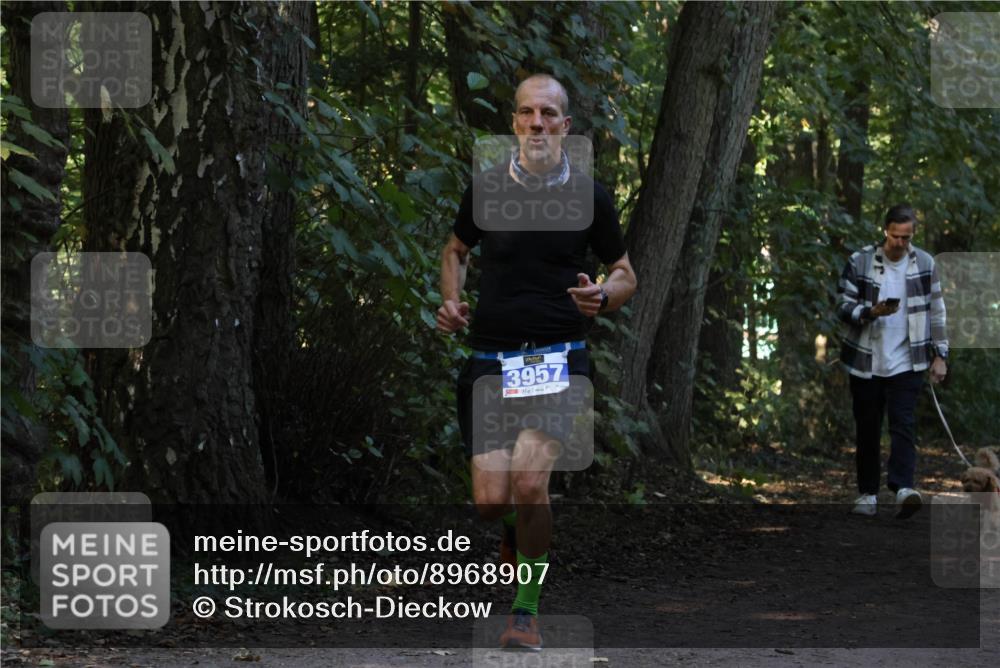 28.09.2025 - 33. Volkslauf durch das schöne Alstertal Strokosch-Dieckow http://msf.ph/oto/8968907 28.09.2025 11:18:14 Laufen 3957 meine-sportfotos.de