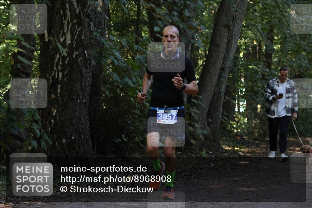 28.09.2025 - 33. Volkslauf durch das schöne Alstertal Strokosch-Dieckow http://msf.ph/oto/8968908 28.09.2025 11:18:14 Laufen 3957 meine-sportfotos.de