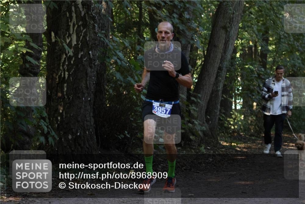28.09.2025 - 33. Volkslauf durch das schöne Alstertal Strokosch-Dieckow http://msf.ph/oto/8968909 28.09.2025 11:18:14 Laufen 3957 meine-sportfotos.de