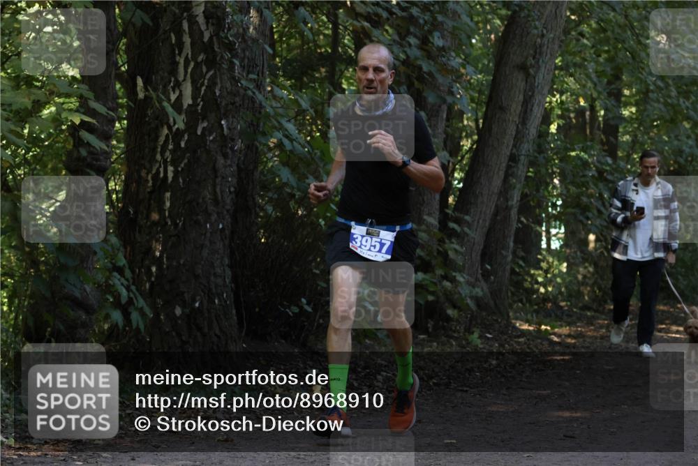 28.09.2025 - 33. Volkslauf durch das schöne Alstertal Strokosch-Dieckow http://msf.ph/oto/8968910 28.09.2025 11:18:14 Laufen 3957 meine-sportfotos.de