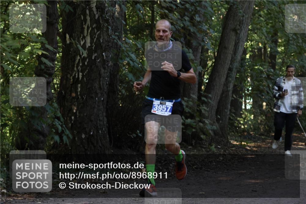 28.09.2025 - 33. Volkslauf durch das schöne Alstertal Strokosch-Dieckow http://msf.ph/oto/8968911 28.09.2025 11:18:14 Laufen 3957 meine-sportfotos.de