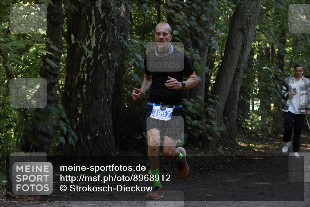 28.09.2025 - 33. Volkslauf durch das schöne Alstertal Strokosch-Dieckow http://msf.ph/oto/8968912 28.09.2025 11:18:14 Laufen 3957, 644 meine-sportfotos.de