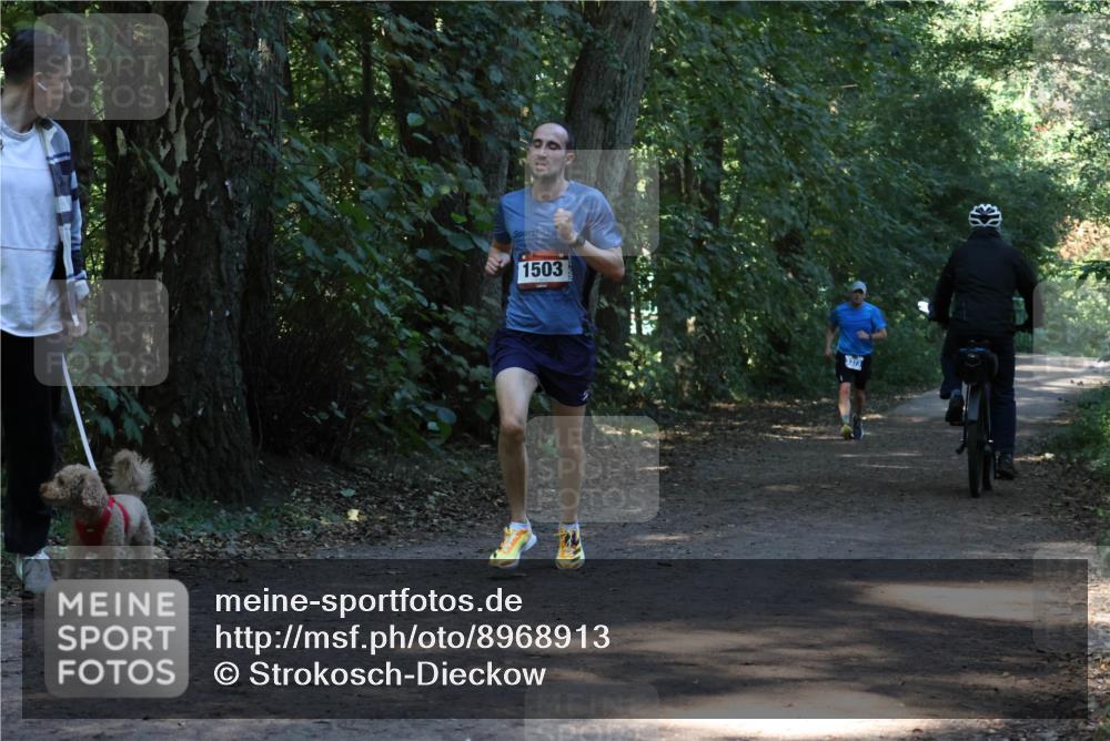 28.09.2025 - 33. Volkslauf durch das schöne Alstertal Strokosch-Dieckow http://msf.ph/oto/8968913 28.09.2025 11:18:25 Laufen 1503 meine-sportfotos.de