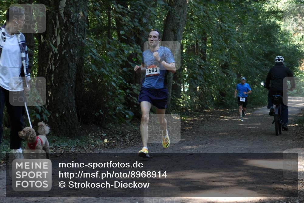 28.09.2025 - 33. Volkslauf durch das schöne Alstertal Strokosch-Dieckow http://msf.ph/oto/8968914 28.09.2025 11:18:25 Laufen 1503 meine-sportfotos.de