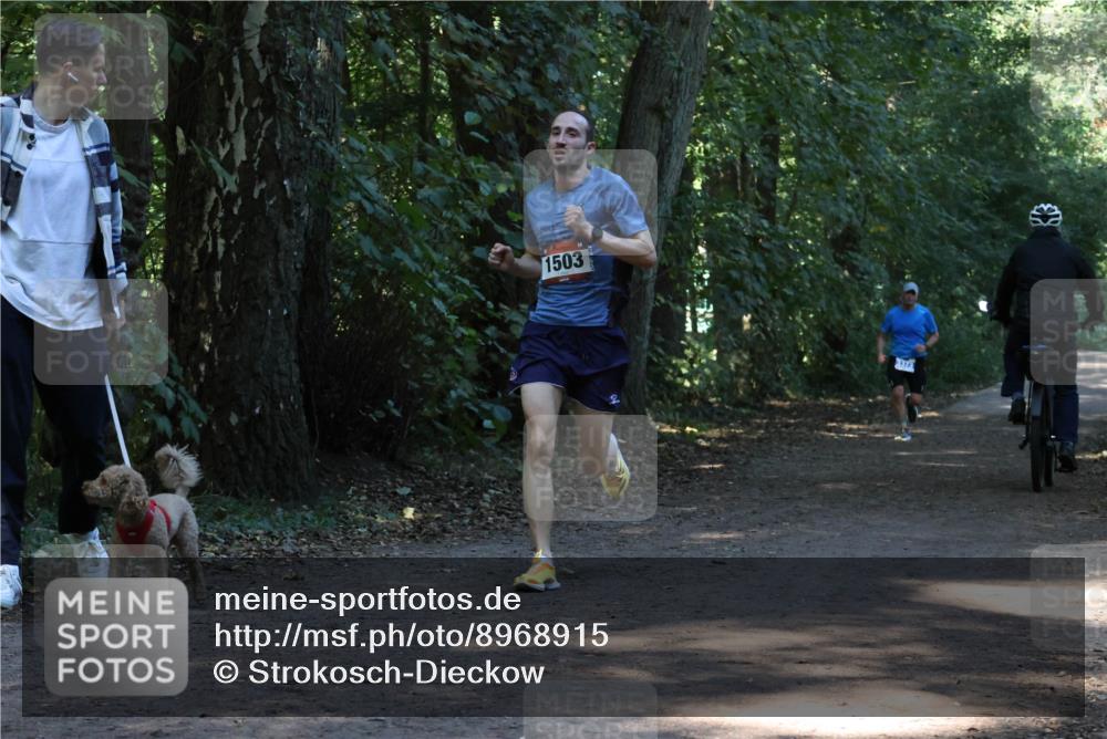 28.09.2025 - 33. Volkslauf durch das schöne Alstertal Strokosch-Dieckow http://msf.ph/oto/8968915 28.09.2025 11:18:26 Laufen 1503, 373 meine-sportfotos.de