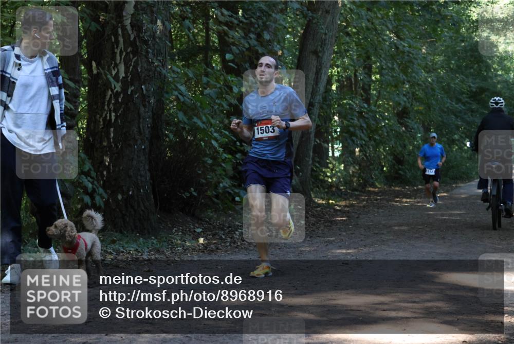 28.09.2025 - 33. Volkslauf durch das schöne Alstertal Strokosch-Dieckow http://msf.ph/oto/8968916 28.09.2025 11:18:26 Laufen 1503, 3373 meine-sportfotos.de