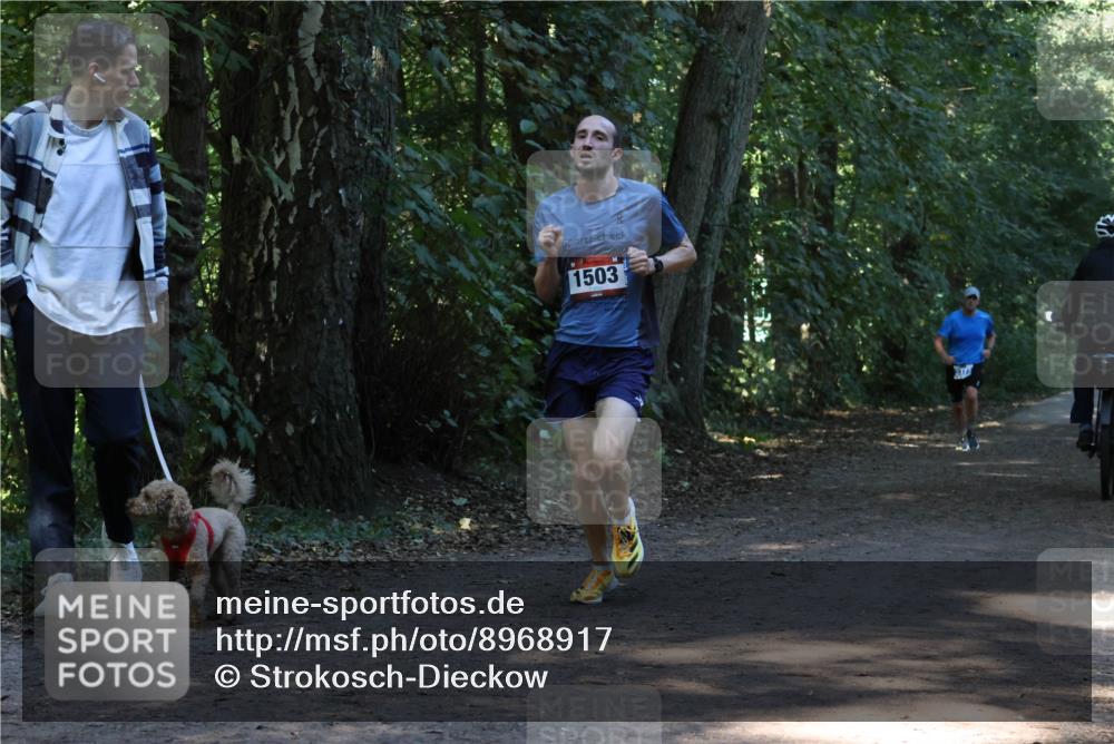 28.09.2025 - 33. Volkslauf durch das schöne Alstertal Strokosch-Dieckow http://msf.ph/oto/8968917 28.09.2025 11:18:26 Laufen 1503 meine-sportfotos.de