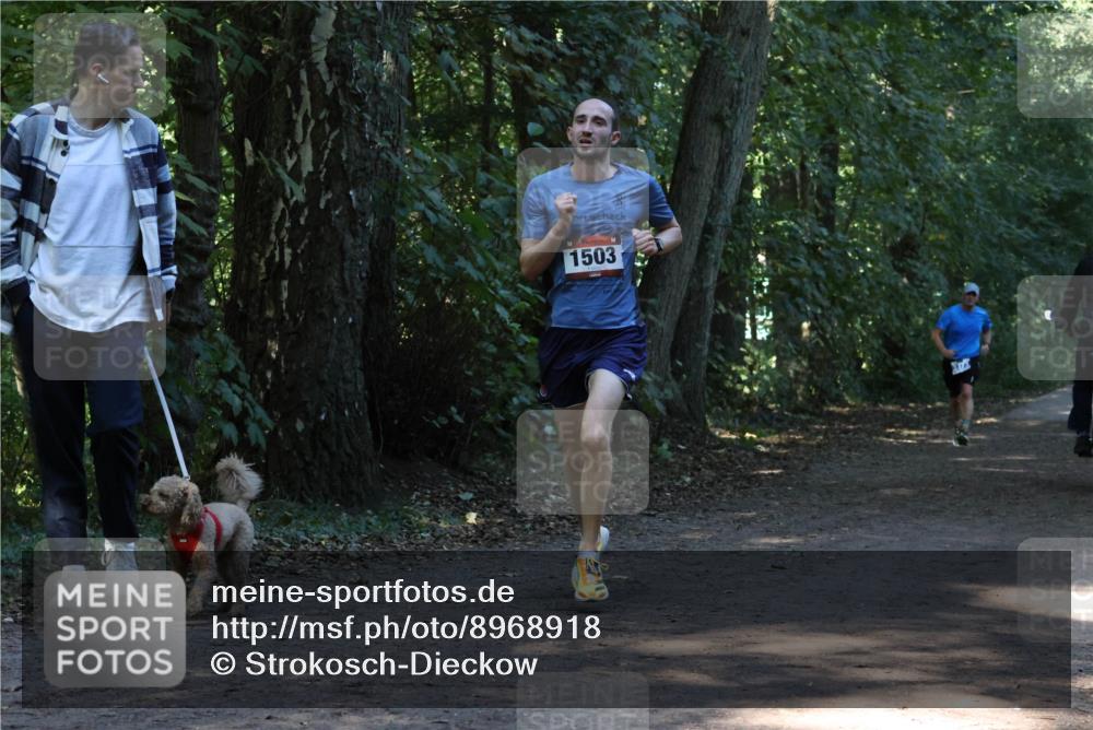 28.09.2025 - 33. Volkslauf durch das schöne Alstertal Strokosch-Dieckow http://msf.ph/oto/8968918 28.09.2025 11:18:26 Laufen 1503 meine-sportfotos.de