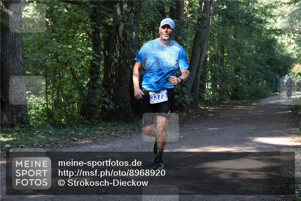28.09.2025 - 33. Volkslauf durch das schöne Alstertal Strokosch-Dieckow http://msf.ph/oto/8968920 28.09.2025 11:18:34 Laufen 3373 meine-sportfotos.de