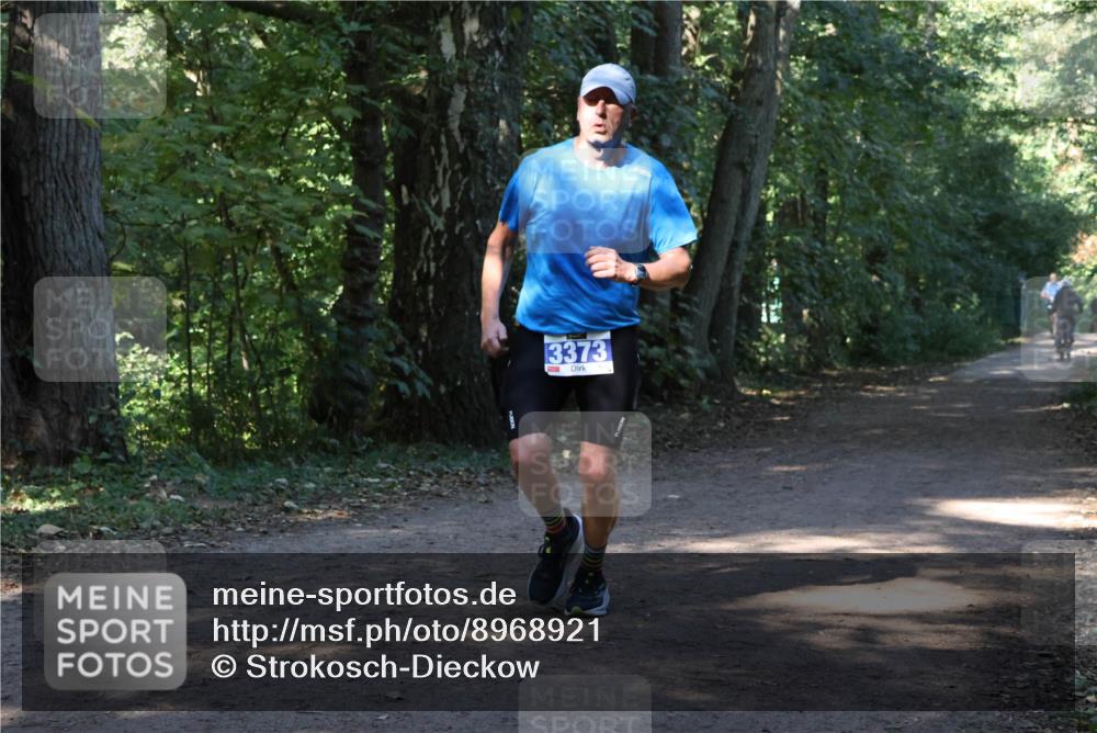28.09.2025 - 33. Volkslauf durch das schöne Alstertal Strokosch-Dieckow http://msf.ph/oto/8968921 28.09.2025 11:18:34 Laufen 3373 meine-sportfotos.de