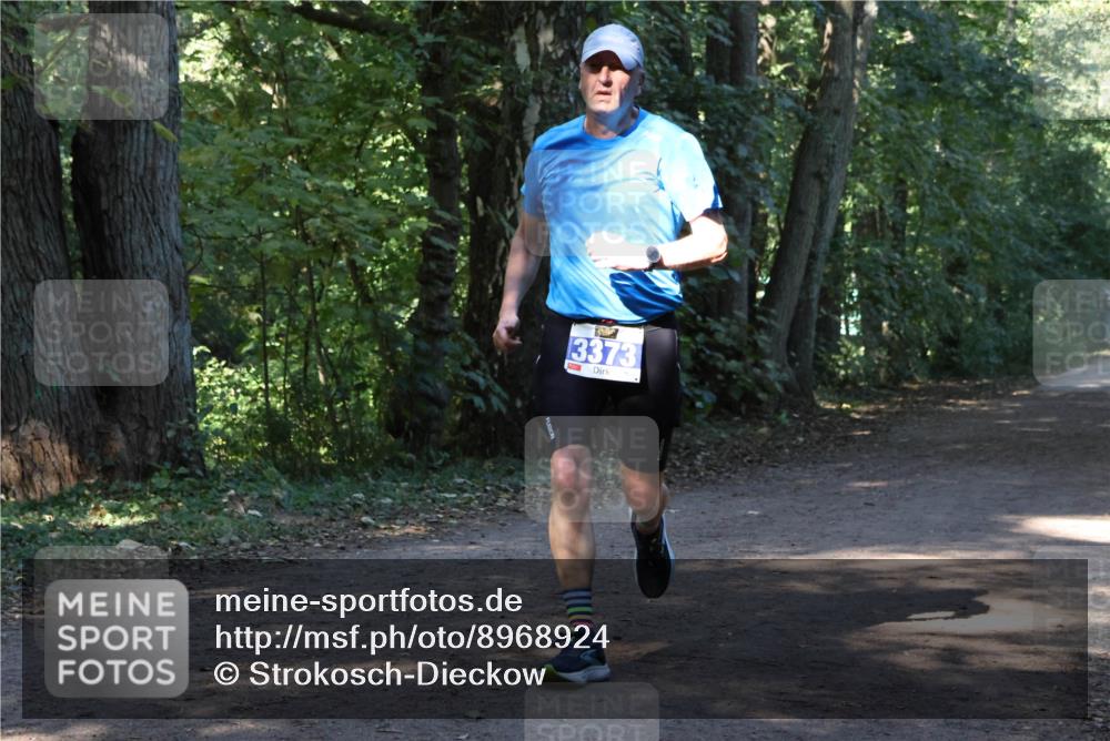 28.09.2025 - 33. Volkslauf durch das schöne Alstertal Strokosch-Dieckow http://msf.ph/oto/8968924 28.09.2025 11:18:34 Laufen 3373 meine-sportfotos.de