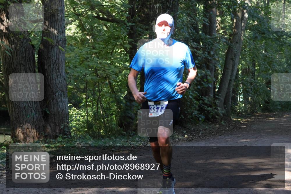 28.09.2025 - 33. Volkslauf durch das schöne Alstertal Strokosch-Dieckow http://msf.ph/oto/8968927 28.09.2025 11:18:35 Laufen 2, 3373 meine-sportfotos.de