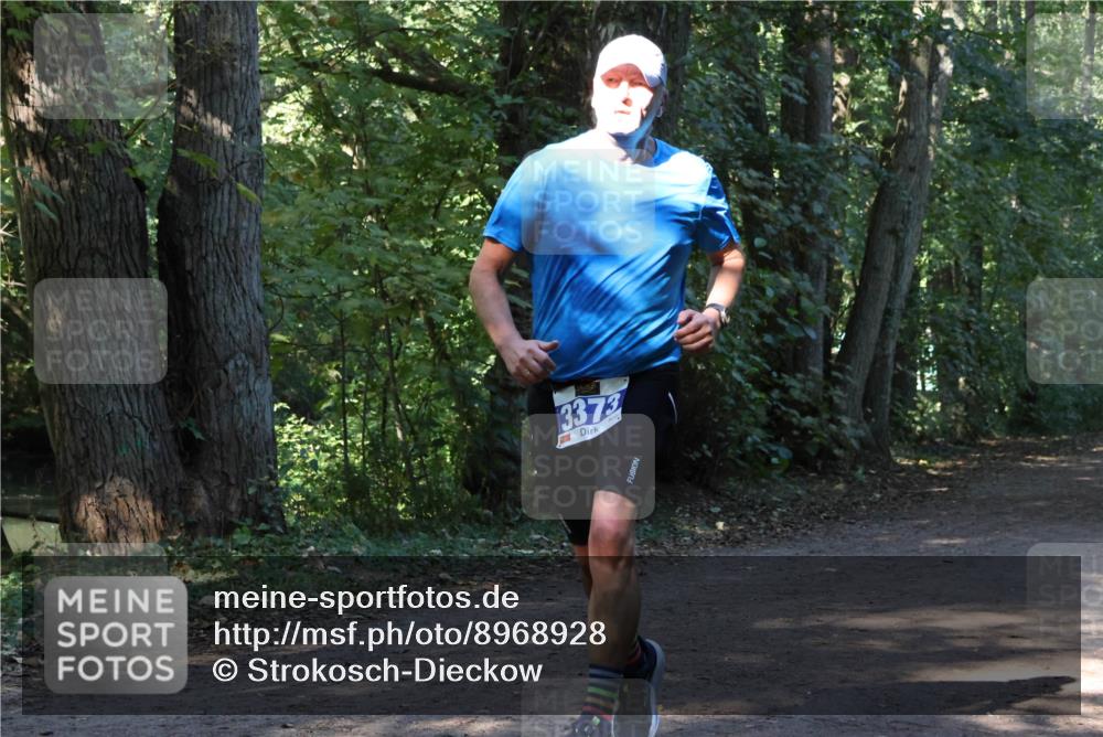 28.09.2025 - 33. Volkslauf durch das schöne Alstertal Strokosch-Dieckow http://msf.ph/oto/8968928 28.09.2025 11:18:35 Laufen 3373 meine-sportfotos.de