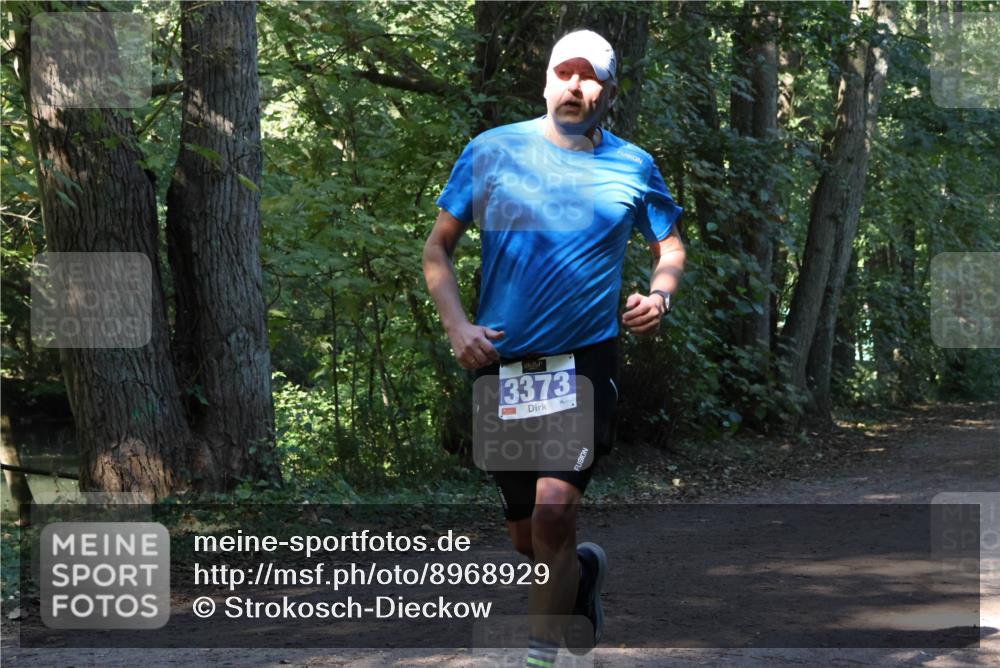 28.09.2025 - 33. Volkslauf durch das schöne Alstertal Strokosch-Dieckow http://msf.ph/oto/8968929 28.09.2025 11:18:35 Laufen 3373 meine-sportfotos.de