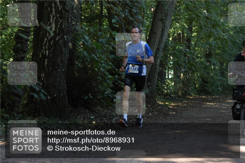 28.09.2025 - 33. Volkslauf durch das schöne Alstertal Strokosch-Dieckow http://msf.ph/oto/8968931 28.09.2025 11:18:49 Laufen 3372 meine-sportfotos.de