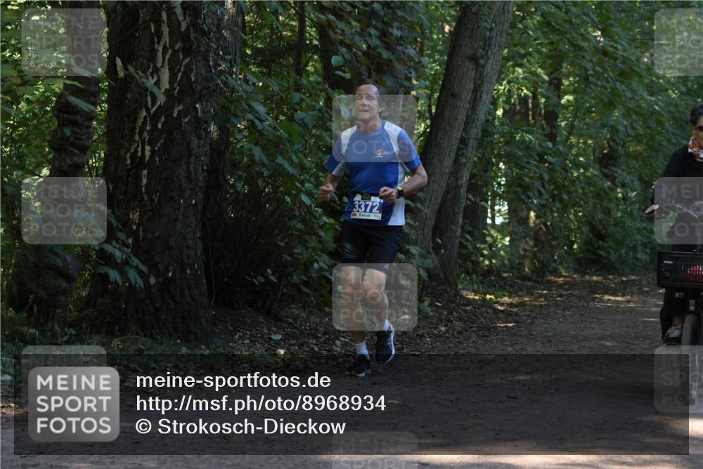 28.09.2025 - 33. Volkslauf durch das schöne Alstertal Strokosch-Dieckow http://msf.ph/oto/8968934 28.09.2025 11:18:49 Laufen 3372 meine-sportfotos.de